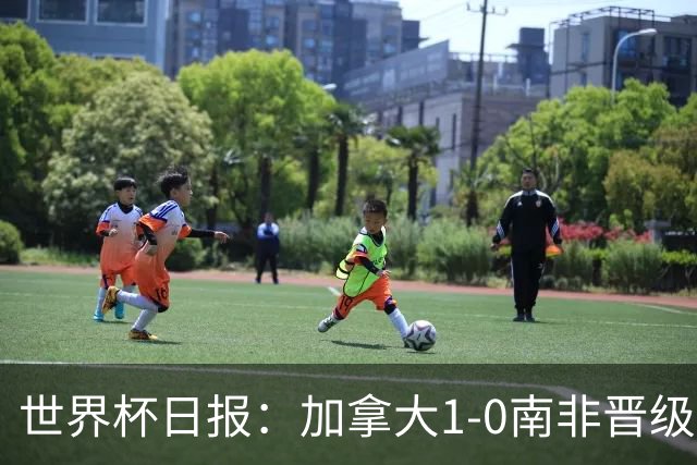 世界杯日报：加拿大1-0南非晋级创历史 韩国主帅洪明甫下课
