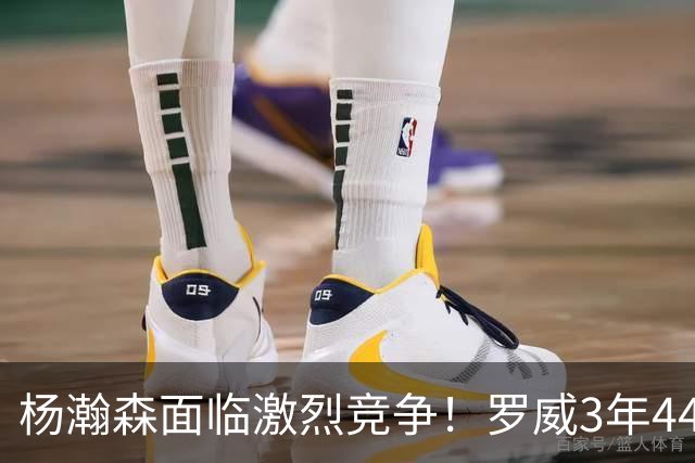 杨瀚森面临激烈竞争！罗威3年4400万美元续约开拓者