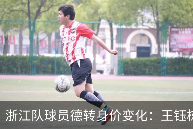 浙江队球员德转身价变化：王钰栋等4人身价上升，9人身价下降