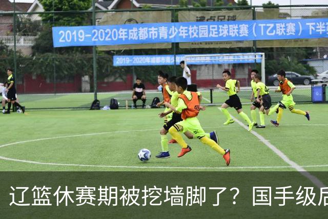 辽篮休赛期被挖墙脚了？国手级后卫恐被交易：变相逼着赵继伟走人