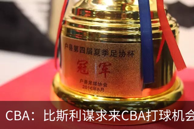CBA：比斯利谋求来CBA打球机会，深圳男篮官宣主教练，广东男篮小外援最新消息，杨瀚森月中回归中国男篮