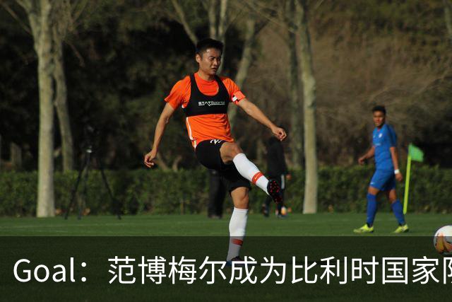 Goal：范博梅尔成为比利时国家队新帅头号人选