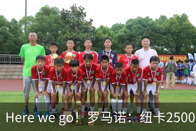 Here we go！罗马诺：纽卡2500万镑签霍尔尼切克
